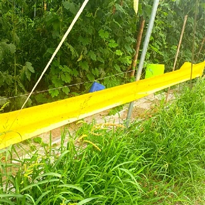 Piège à rouleau collant pour insectes